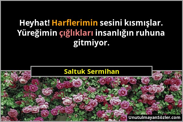 Saltuk Sermihan - Heyhat! Harflerimin sesini kısmışlar. Yüreğimin çığlıkları insanlığın ruhuna gitmiyor....