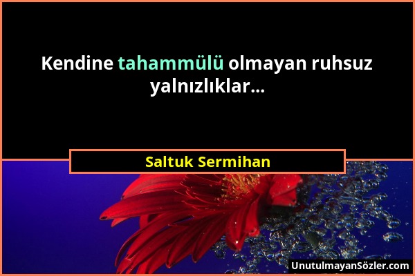 Saltuk Sermihan - Kendine tahammülü olmayan ruhsuz yalnızlıklar......