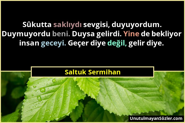 Saltuk Sermihan - Sûkutta saklıydı sevgisi, duyuyordum. Duymuyordu beni. Duysa gelirdi. Yine de bekliyor insan geceyi. Geçer diye değil, gelir diye....