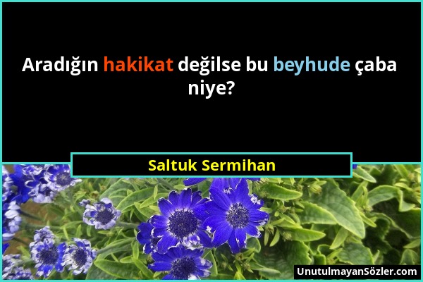 Saltuk Sermihan - Aradığın hakikat değilse bu beyhude çaba niye?...