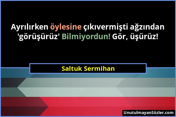 Saltuk Sermihan - Ayrılırken öylesine çıkıvermişti ağzından 'görüşürüz' Bilmiyordun! Gör, üşürüz!...