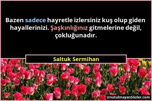 Saltuk Sermihan - Bazen sadece hayretle izlersiniz kuş olup giden hayallerinizi. Şaşkınlığınız gitmelerine değil, çokluğunadır....