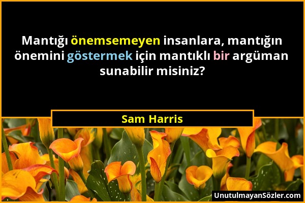 Sam Harris - Mantığı önemsemeyen insanlara, mantığın önemini göstermek için mantıklı bir argüman sunabilir misiniz?...