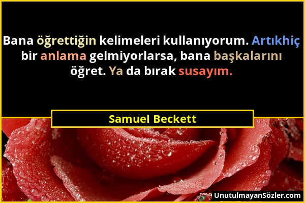 Samuel Beckett - Bana öğrettiğin kelimeleri kullanıyorum. Artıkhiç bir anlama gelmiyorlarsa, bana başkalarını öğret. Ya da bırak susayım....