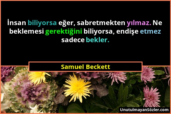 Samuel Beckett - İnsan biliyorsa eğer, sabretmekten yılmaz. Ne beklemesi gerektiğini biliyorsa, endişe etmez sadece bekler....