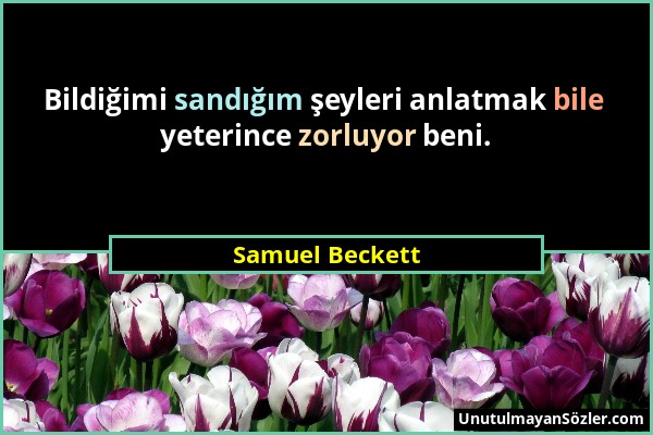 Samuel Beckett - Bildiğimi sandığım şeyleri anlatmak bile yeterince zorluyor beni....