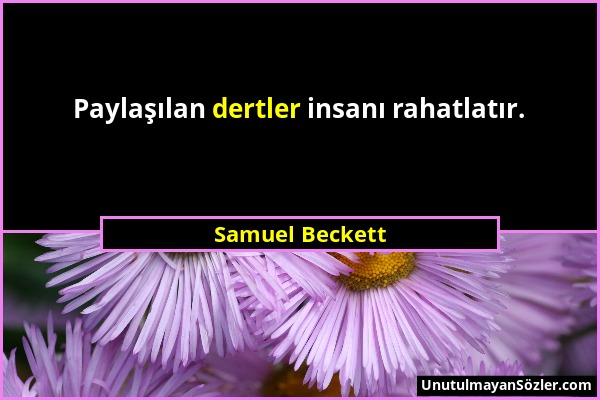 Samuel Beckett - Paylaşılan dertler insanı rahatlatır....