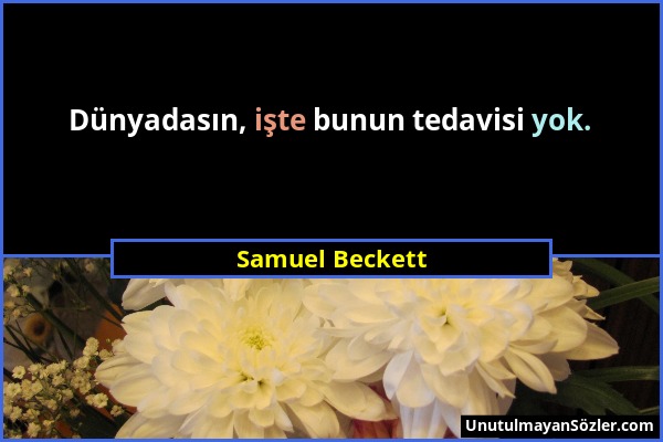 Samuel Beckett - Dünyadasın, işte bunun tedavisi yok....