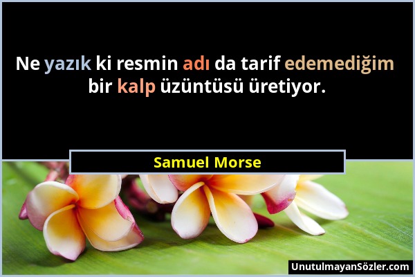 Samuel Morse - Ne yazık ki resmin adı da tarif edemediğim bir kalp üzüntüsü üretiyor....