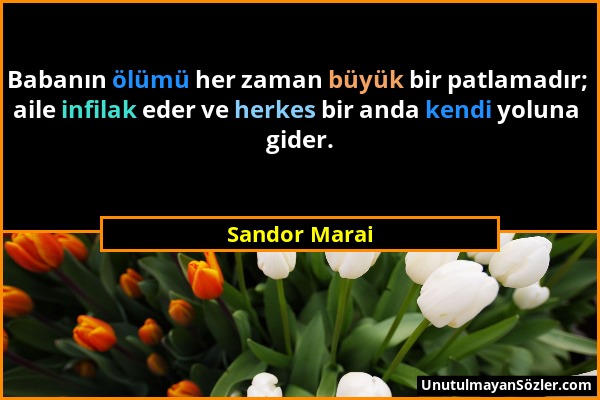 Sandor Marai - Babanın ölümü her zaman büyük bir patlamadır; aile infilak eder ve herkes bir anda kendi yoluna gider....