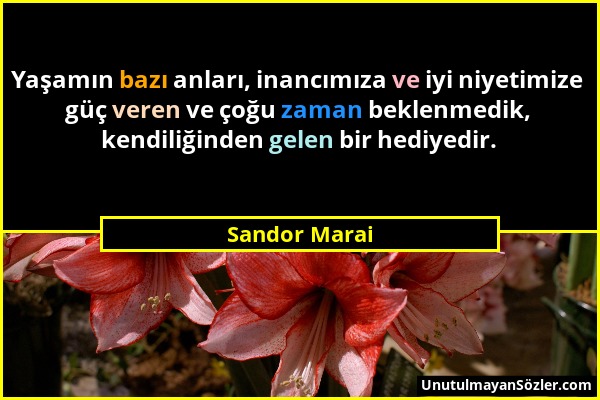 Sandor Marai - Yaşamın bazı anları, inancımıza ve iyi niyetimize güç veren ve çoğu zaman beklenmedik, kendiliğinden gelen bir hediyedir....
