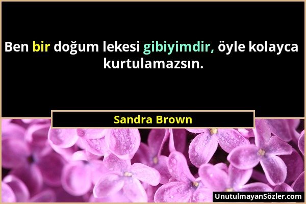 Sandra Brown - Ben bir doğum lekesi gibiyimdir, öyle kolayca kurtulamazsın....