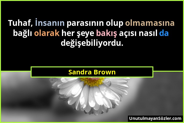 Sandra Brown - Tuhaf, İnsanın parasının olup olmamasına bağlı olarak her şeye bakış açısı nasıl da değişebiliyordu....