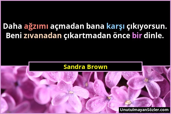 Sandra Brown - Daha ağzımı açmadan bana karşı çıkıyorsun. Beni zıvanadan çıkartmadan önce bir dinle....