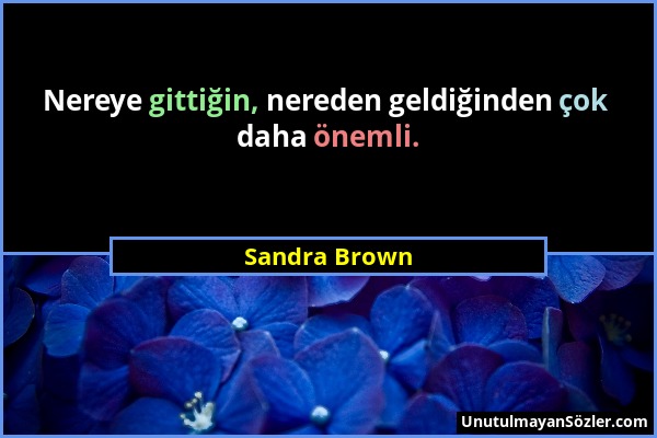 Sandra Brown - Nereye gittiğin, nereden geldiğinden çok daha önemli....