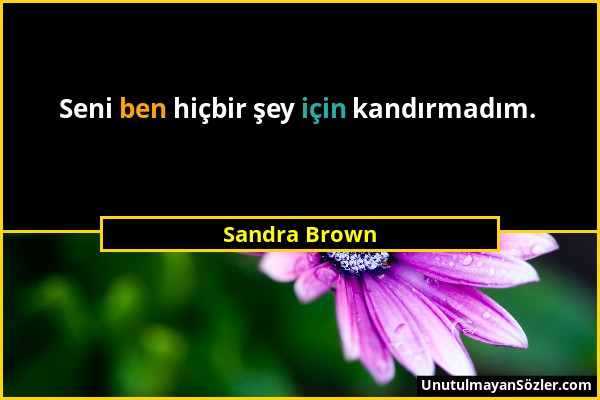 Sandra Brown - Seni ben hiçbir şey için kandırmadım....