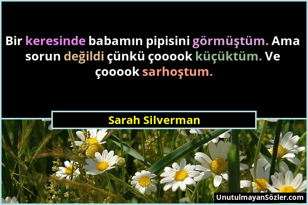 Sarah Silverman - Bir keresinde babamın pipisini görmüştüm. Ama sorun değildi çünkü çooook küçüktüm. Ve çooook sarhoştum....