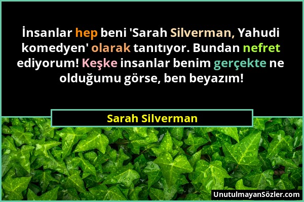 Sarah Silverman - İnsanlar hep beni 'Sarah Silverman, Yahudi komedyen' olarak tanıtıyor. Bundan nefret ediyorum! Keşke insanlar benim gerçekte ne oldu...