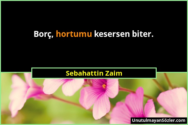 Sebahattin Zaim - Borç, hortumu kesersen biter....