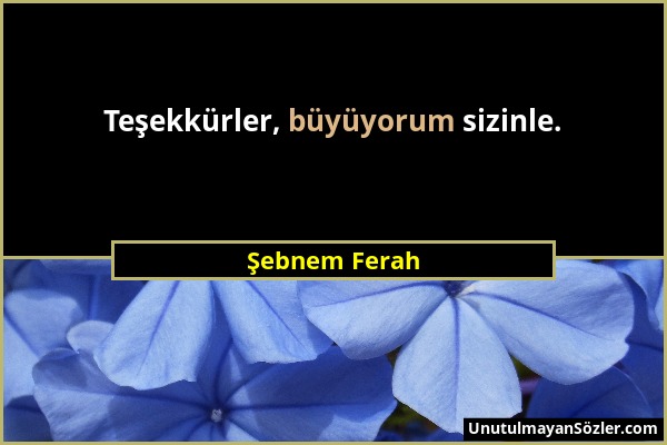 Şebnem Ferah - Teşekkürler, büyüyorum sizinle....