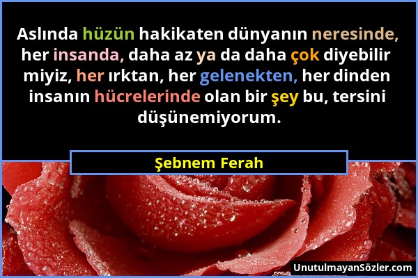 Şebnem Ferah - Aslında hüzün hakikaten dünyanın neresinde, her insanda, daha az ya da daha çok diyebilir miyiz, her ırktan, her gelenekten, her dinden...