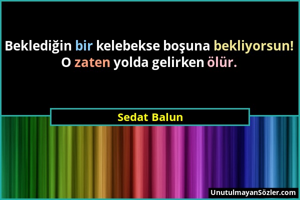 Sedat Balun - Beklediğin bir kelebekse boşuna bekliyorsun! O zaten yolda gelirken ölür....