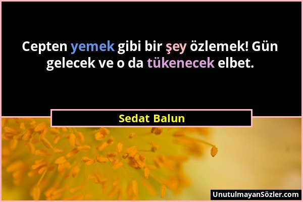 Sedat Balun - Cepten yemek gibi bir şey özlemek! Gün gelecek ve o da tükenecek elbet....