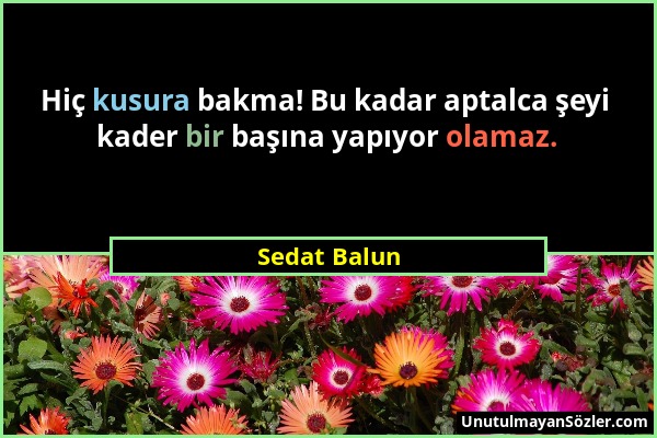 Sedat Balun - Hiç kusura bakma! Bu kadar aptalca şeyi kader bir başına yapıyor olamaz....