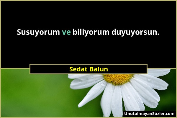 Sedat Balun - Susuyorum ve biliyorum duyuyorsun....