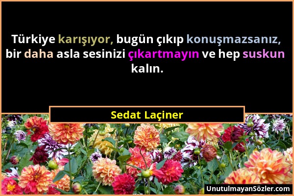 Sedat Laçiner - Türkiye karışıyor, bugün çıkıp konuşmazsanız, bir daha asla sesinizi çıkartmayın ve hep suskun kalın....