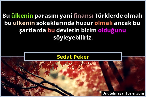 Sedat Peker - Bu ülkenin parasını yani finansı Türklerde olmalı bu ülkenin sokaklarında huzur olmalı ancak bu şartlarda bu devletin bizim olduğunu söy...