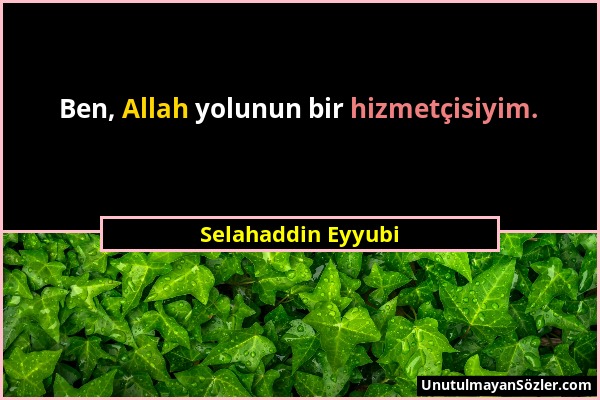 Selahaddin Eyyubi - Ben, Allah yolunun bir hizmetçisiyim....