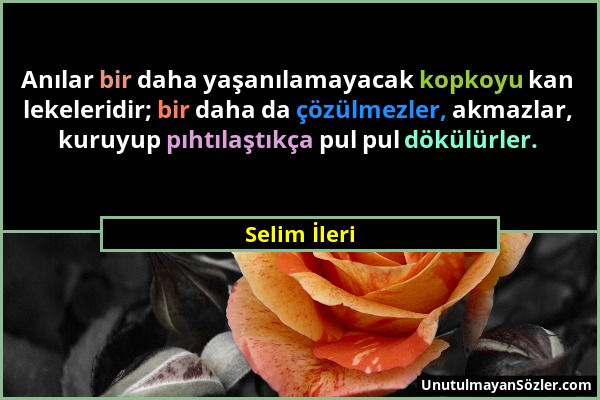 Selim İleri - Anılar bir daha yaşanılamayacak kopkoyu kan lekeleridir; bir daha da çözülmezler, akmazlar, kuruyup pıhtılaştıkça pul pul dökülürler....