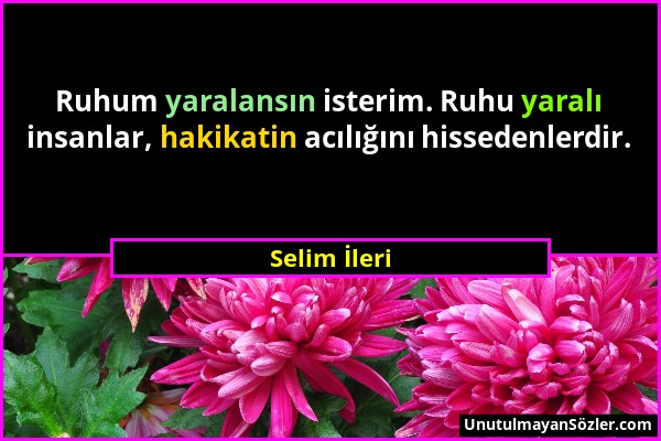 Selim İleri - Ruhum yaralansın isterim. Ruhu yaralı insanlar, hakikatin acılığını hissedenlerdir....