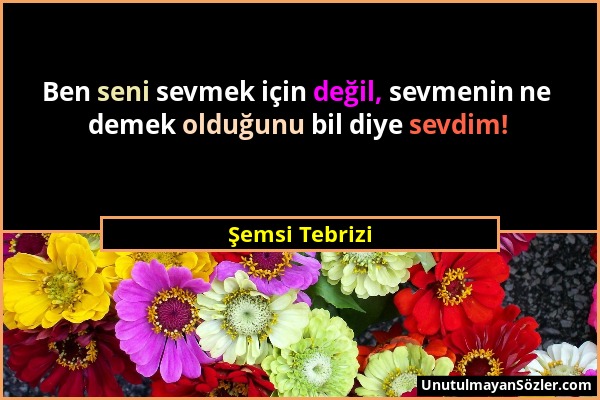 Şemsi Tebrizi - Ben seni sevmek için değil, sevmenin ne demek olduğunu bil diye sevdim!...