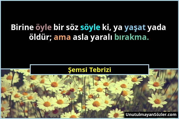 Şemsi Tebrizi - Birine öyle bir söz söyle ki, ya yaşat yada öldür; ama asla yaralı bırakma....