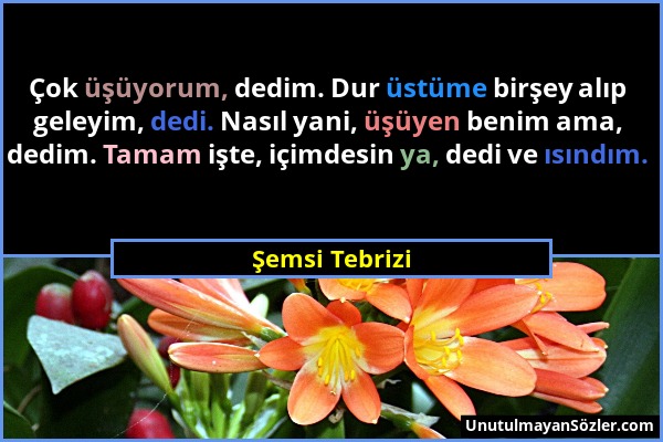 Şemsi Tebrizi - Çok üşüyorum, dedim. Dur üstüme birşey alıp geleyim, dedi. Nasıl yani, üşüyen benim ama, dedim. Tamam işte, içimdesin ya, dedi ve ısın...