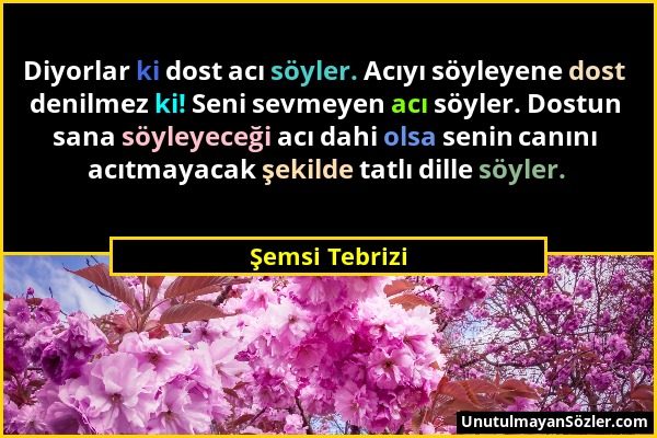 Şemsi Tebrizi - Diyorlar ki dost acı söyler. Acıyı söyleyene dost denilmez ki! Seni sevmeyen acı söyler. Dostun sana söyleyeceği acı dahi olsa senin c...