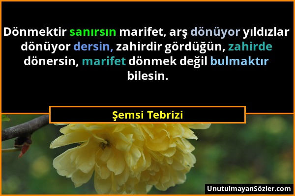 Şemsi Tebrizi - Dönmektir sanırsın marifet, arş dönüyor yıldızlar dönüyor dersin, zahirdir gördüğün, zahirde dönersin, marifet dönmek değil bulmaktır...