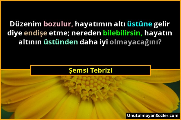 Şemsi Tebrizi - Düzenim bozulur, hayatımın altı üstüne gelir diye endişe etme; nereden bilebilirsin, hayatın altının üstünden daha iyi olmayacağını?...