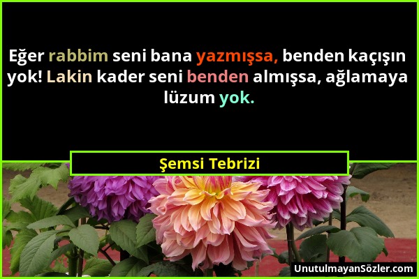 Şemsi Tebrizi - Eğer rabbim seni bana yazmışsa, benden kaçışın yok! Lakin kader seni benden almışsa, ağlamaya lüzum yok....