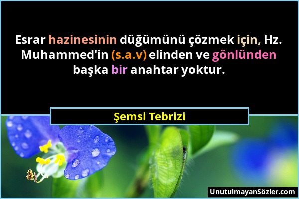 Şemsi Tebrizi - Esrar hazinesinin düğümünü çözmek için, Hz. Muhammed'in (s.a.v) elinden ve gönlünden başka bir anahtar yoktur....