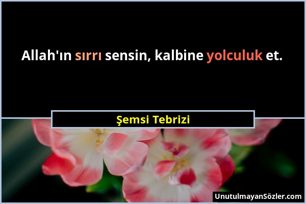 Şemsi Tebrizi - Allah'ın sırrı sensin, kalbine yolculuk et....