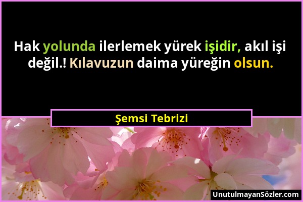 Şemsi Tebrizi - Hak yolunda ilerlemek yürek işidir, akıl işi değil.! Kılavuzun daima yüreğin olsun....