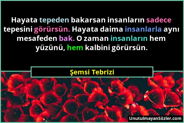 Şemsi Tebrizi - Hayata tepeden bakarsan insanların sadece tepesini görürsün. Hayata daima insanlarla aynı mesafeden bak. O zaman insanların hem yüzünü...