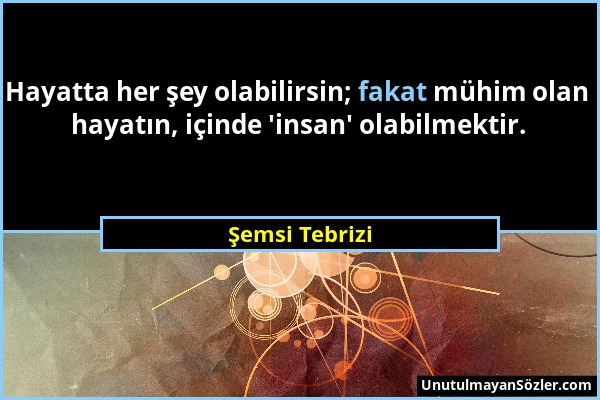 Şemsi Tebrizi - Hayatta her şey olabilirsin; fakat mühim olan hayatın, içinde 'insan' olabilmektir....