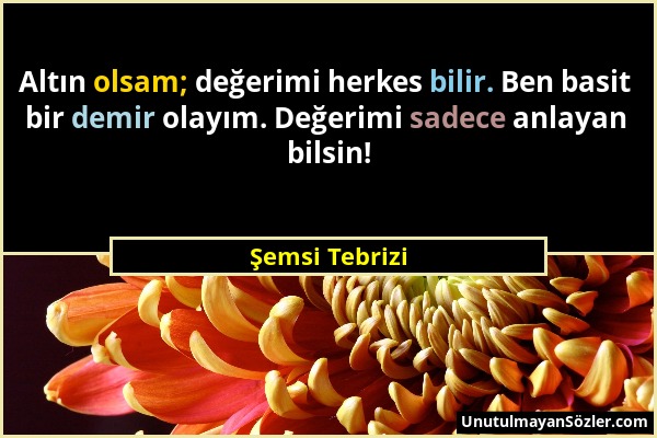 Şemsi Tebrizi - Altın olsam; değerimi herkes bilir. Ben basit bir demir olayım. Değerimi sadece anlayan bilsin!...