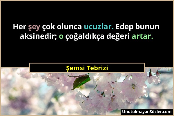 Şemsi Tebrizi - Her şey çok olunca ucuzlar. Edep bunun aksinedir; o çoğaldıkça değeri artar....