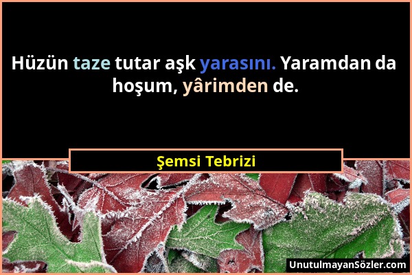 Şemsi Tebrizi - Hüzün taze tutar aşk yarasını. Yaramdan da hoşum, yârimden de....