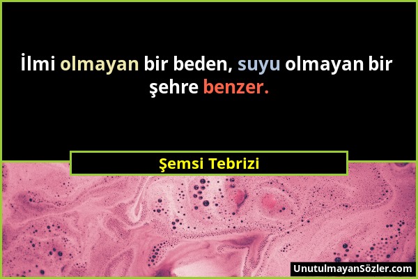 Şemsi Tebrizi - İlmi olmayan bir beden, suyu olmayan bir şehre benzer....